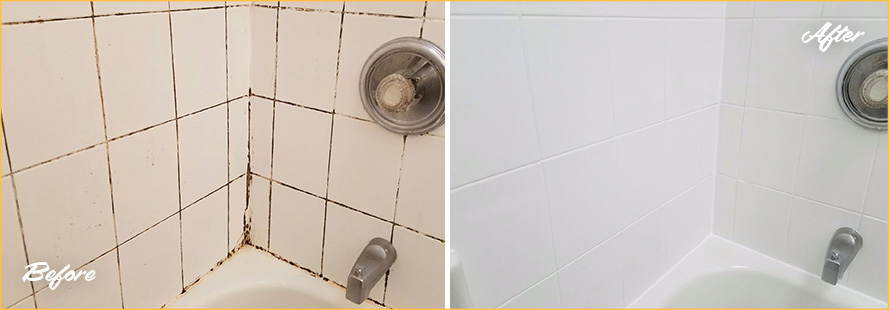 Grout Recoloring and Sealing