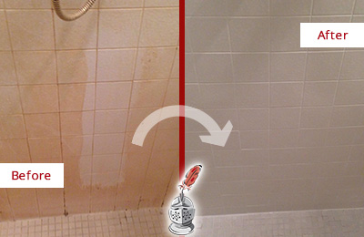Before and After Picture of a Paradise Valley Porcelaine Shower Cleaned to Remove Soap Scum
