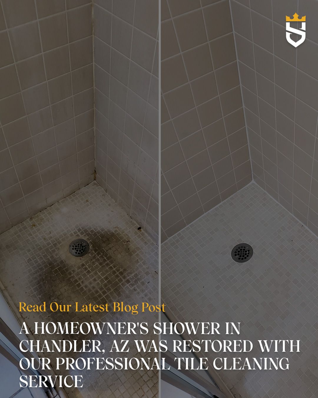 A Homeowner's Shower in Chandler, AZ Was Restored With Our Professional Tile Cleaning Service