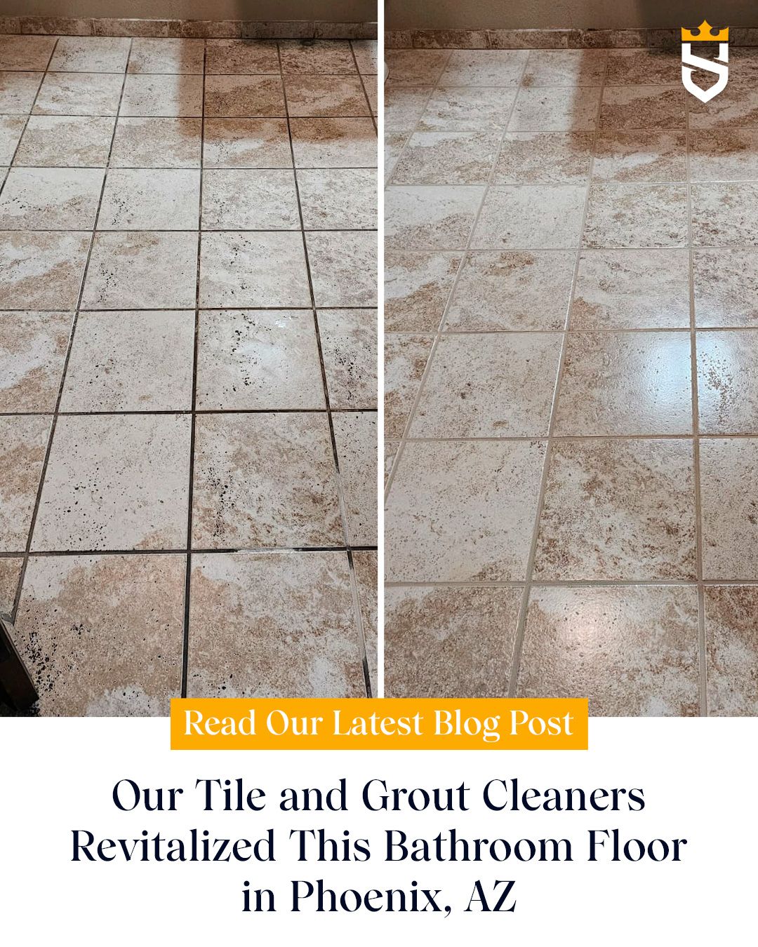 Our Tile and Grout Cleaners Revitalized This Bathroom Floor in Phoenix, AZ
